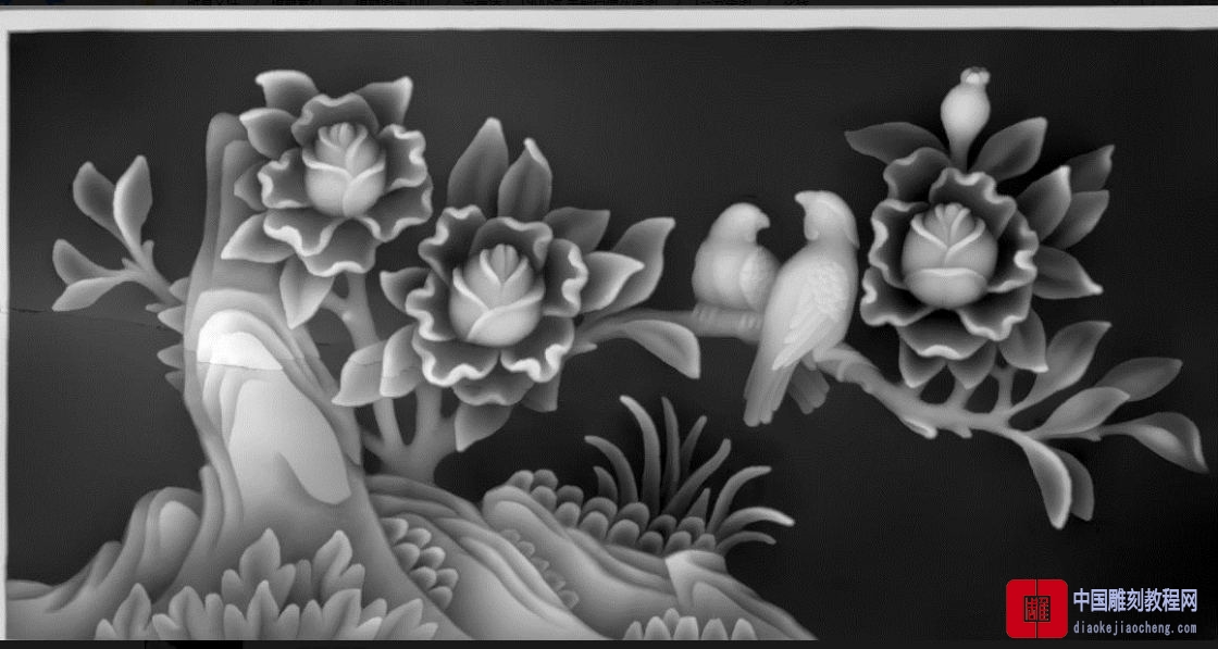 灰度图花鸟