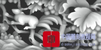 灰度图花鸟之美