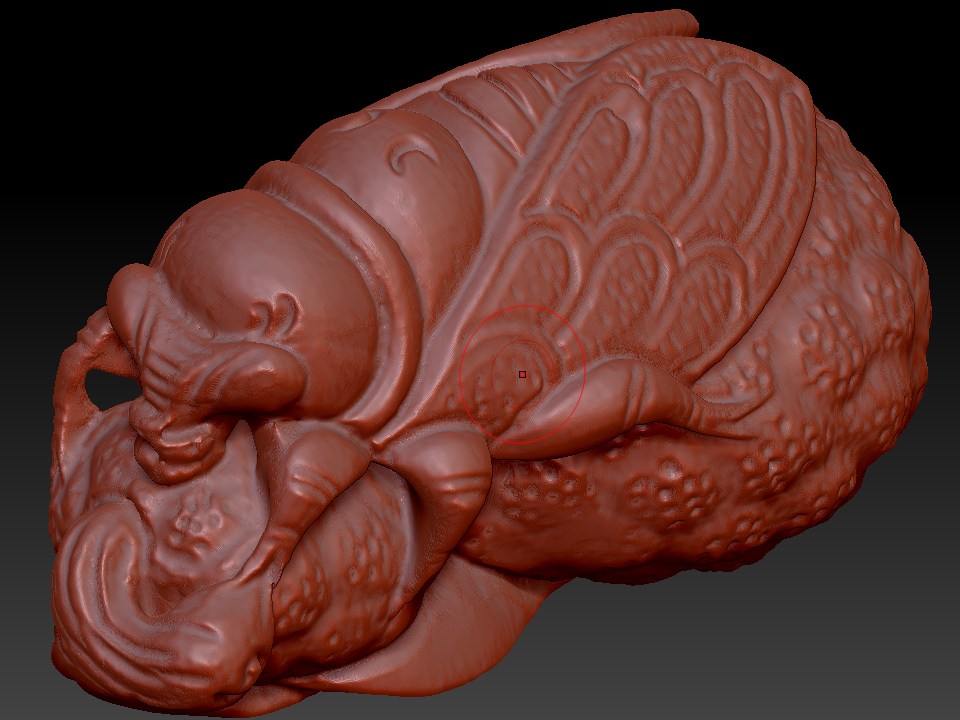 金蝉 zbrush圆雕图stl三维立体