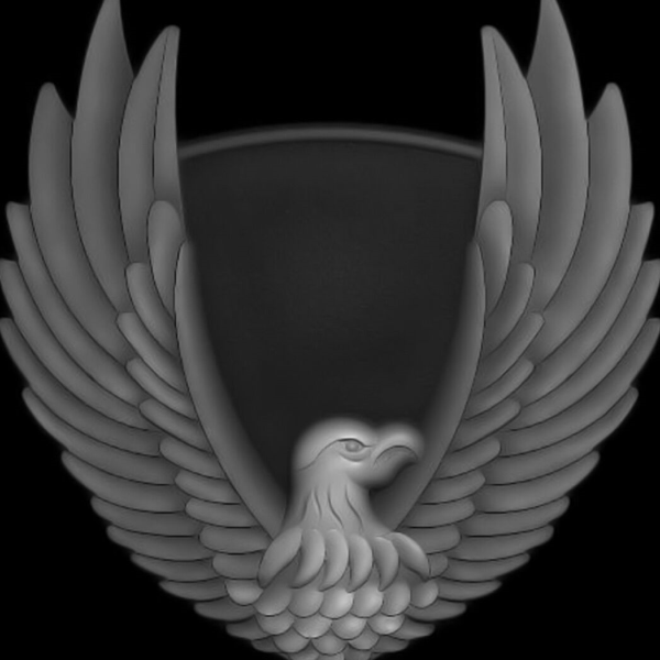 20071206_ff1eca0de30098788af8j0cAfWtLDfHj  灰度图